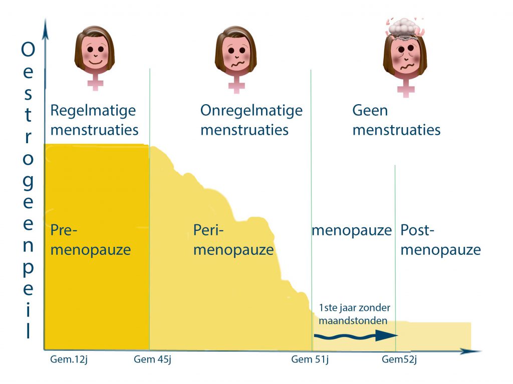Het oestrogeenpeil tijdens de menopauze